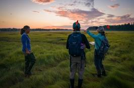 Three researchers walk through a salt marsh at sunrise